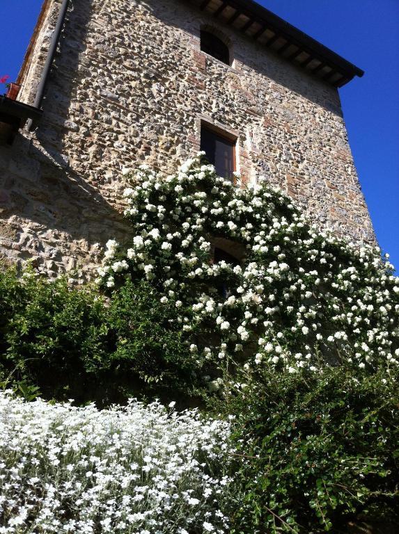 Fortezza De' Cortesi San Gimignano Exterior foto
